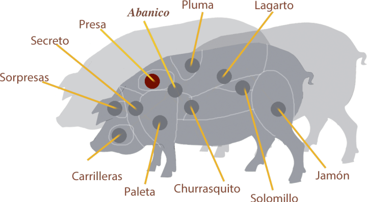 cerdo_presa-min