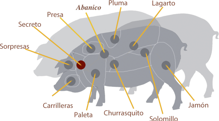 cerdo_secreto-min